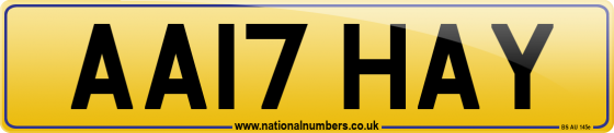 AA17 HAY