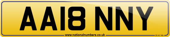 AA18 NNY