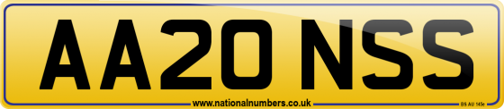 AA20 NSS