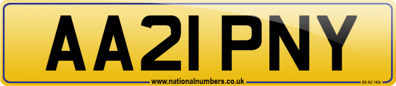 AA21 PNY
