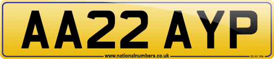AA22 AYP
