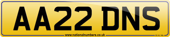 AA22 DNS