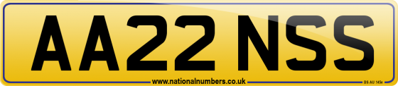 AA22 NSS