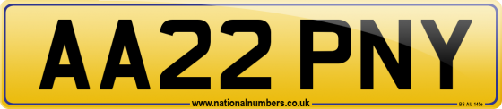 AA22 PNY