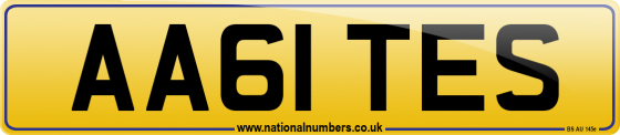 AA61 TES