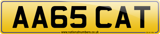 AA65 CAT
