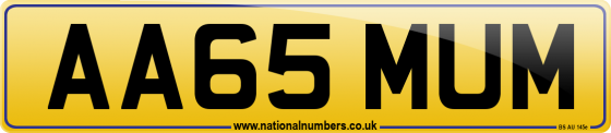AA65 MUM