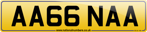 AA66 NAA