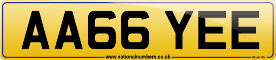 AA66 YEE
