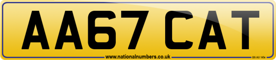 AA67 CAT