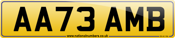 AA73 AMB