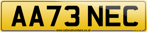 AA73 NEC