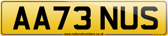 AA73 NUS