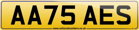 AA75 AES