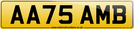 AA75 AMB