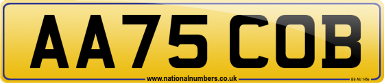 AA75 COB