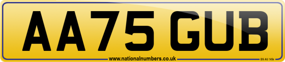 AA75 GUB