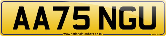 AA75 NGU