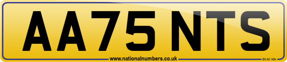 AA75 NTS