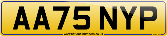 AA75 NYP