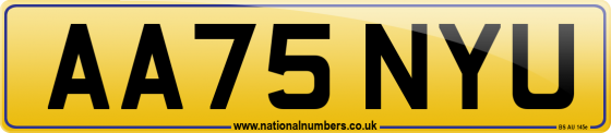 AA75 NYU