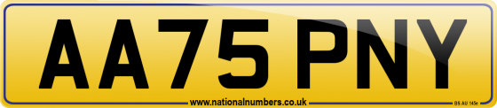 AA75 PNY