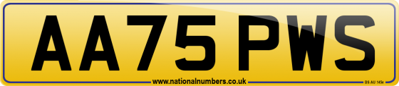 AA75 PWS