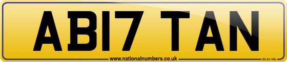 AB17 TAN