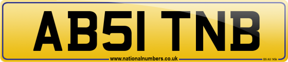 AB51 TNB