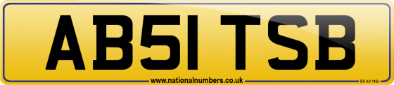 AB51 TSB