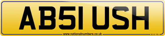 AB51 USH