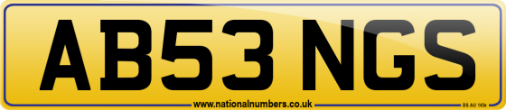 AB53 NGS