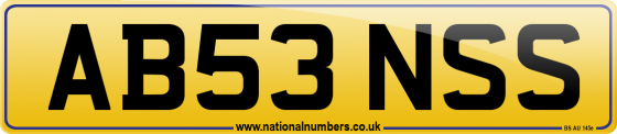 AB53 NSS
