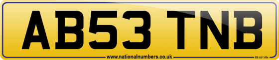 AB53 TNB
