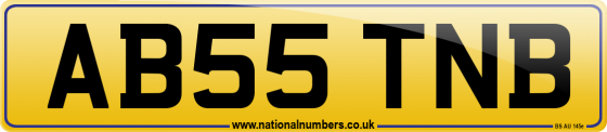 AB55 TNB