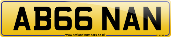 AB66 NAN