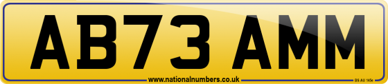 AB73 AMM
