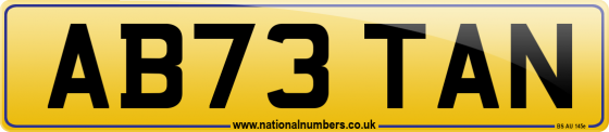 AB73 TAN