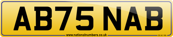 AB75 NAB