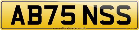AB75 NSS