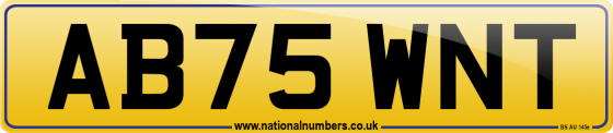 AB75 WNT