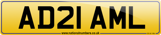 AD21 AML