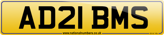 AD21 BMS