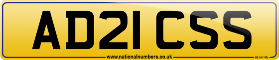 AD21 CSS
