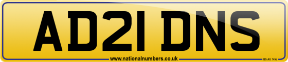 AD21 DNS