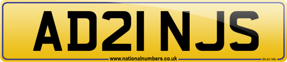 AD21 NJS