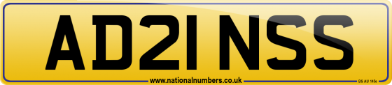 AD21 NSS