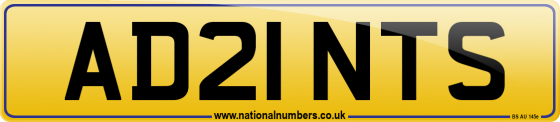 AD21 NTS