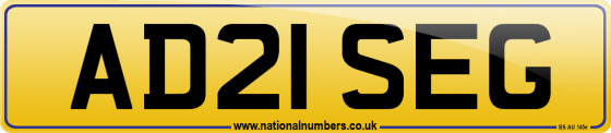 AD21 SEG