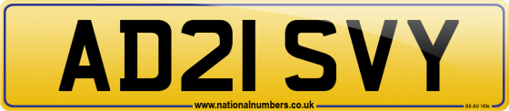 AD21 SVY